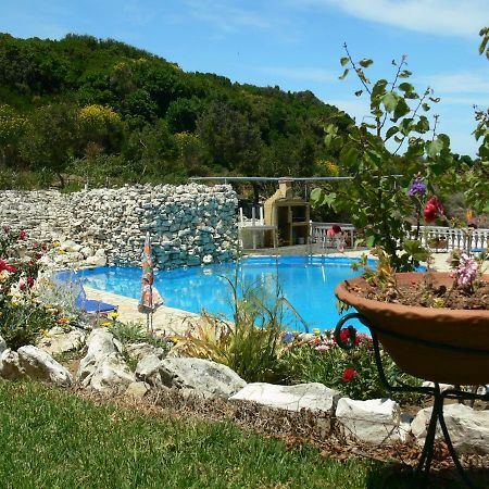 Angela Apartments Pool Gardens And Sea Views Агиос Стефанос Экстерьер фото