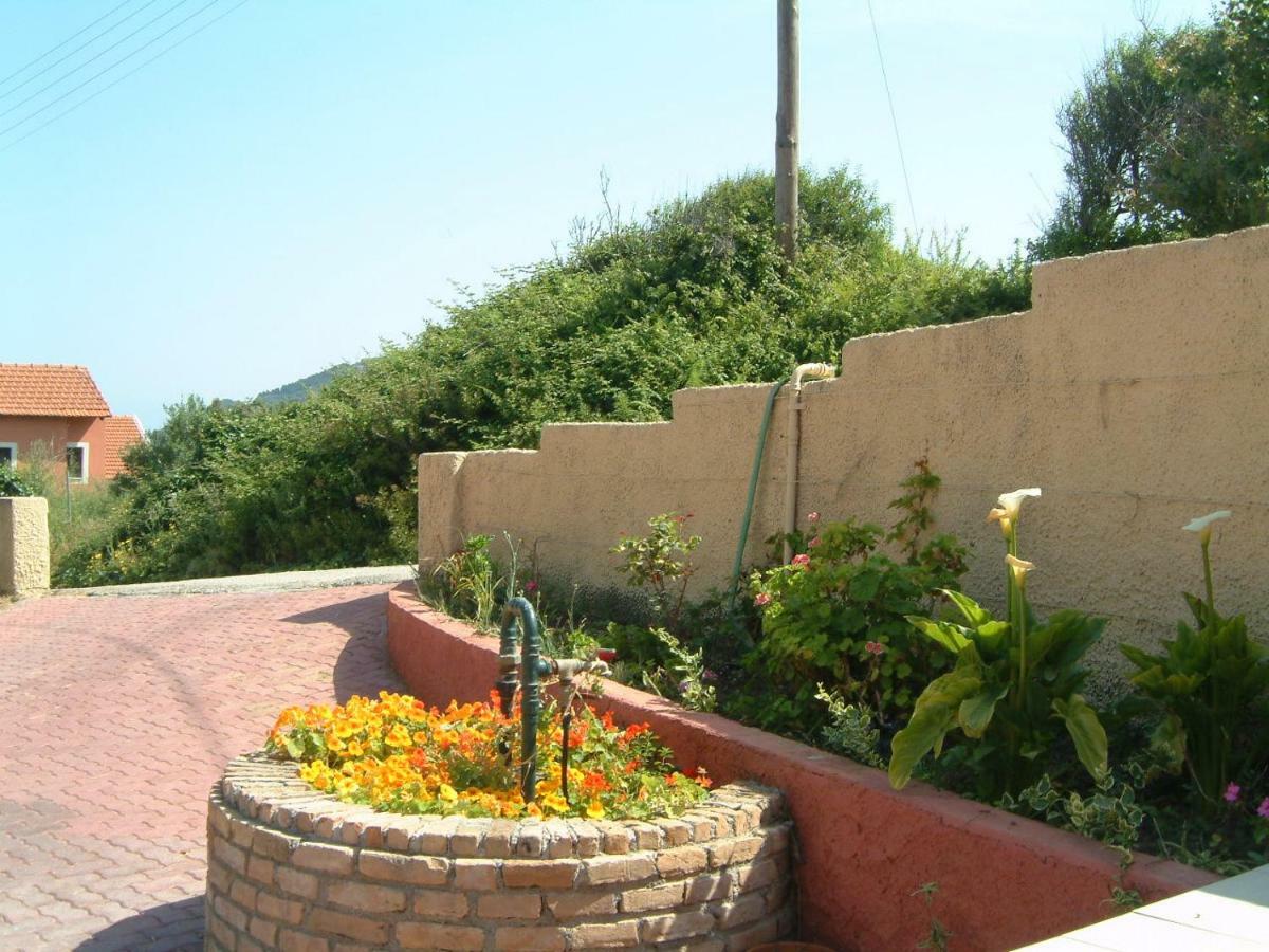Angela Apartments Pool Gardens And Sea Views Агиос Стефанос Экстерьер фото